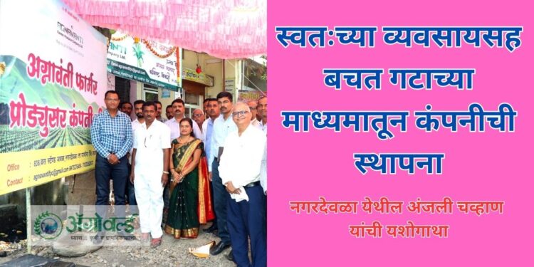 व्यवसाय