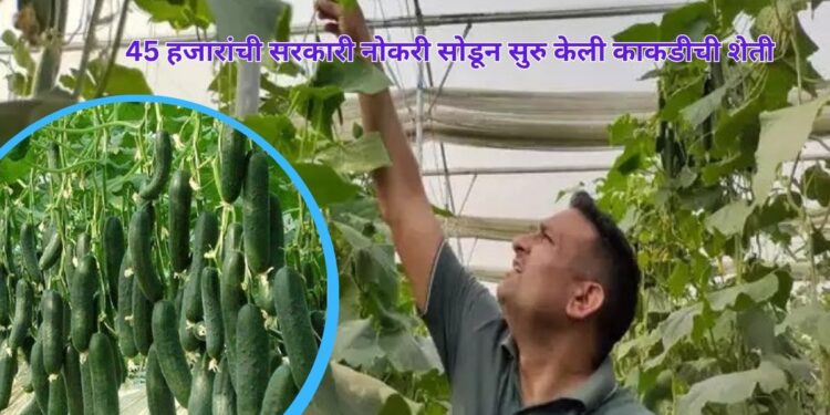 Farmer Success Story