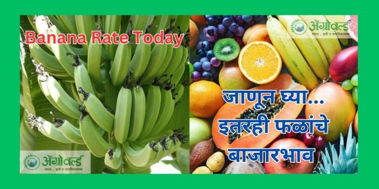 Banana Rate Today