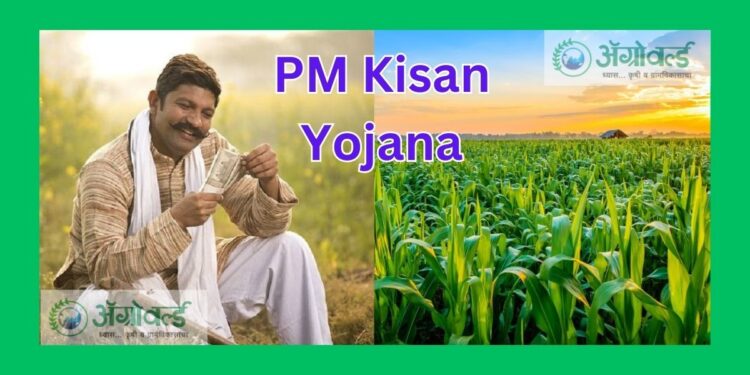 PM- Kisan