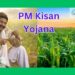 PM- Kisan