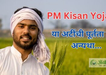 PM Kisan Yojana