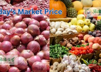 कांद्याला ‘या’ बाजार समितीत मिळाला असा दर ; पहा आजचे बाजारभाव