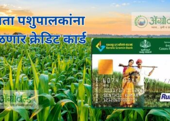 Kisan Credit Card