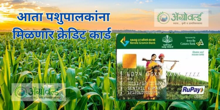 Kisan Credit Card