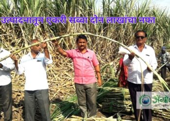 ऊस उत्पादना