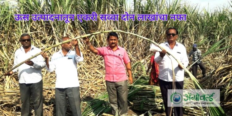 ऊस उत्पादना