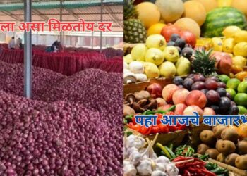 बाजारभाव