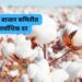 Cotton Rate