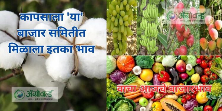 बाजार समिती