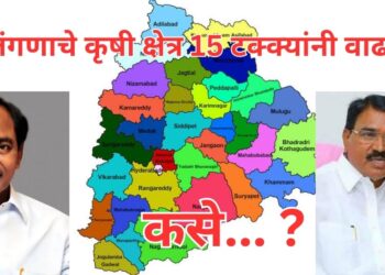 तेलंगणा राज्यात पायाभूत सुविधांमुळे कृषी क्षेत्र 15% नी वाढले..; उत्पादकतेत देखील भरीव वाढ