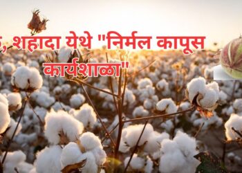 कार्यशाळा