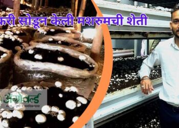 Mashroom Farming Success Story