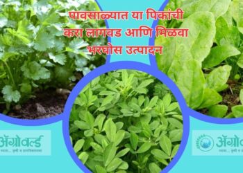 पिकांची लागवड