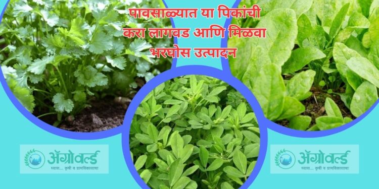 पिकांची लागवड