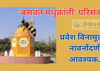 बसवंत मधुक्रांती