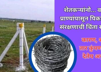 शेतकऱ्यां