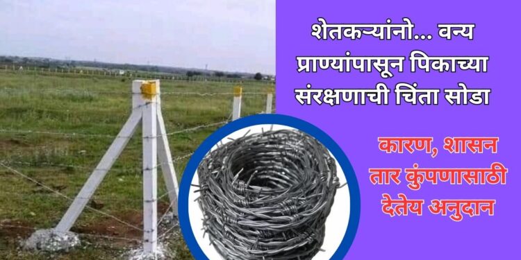 शेतकऱ्यां