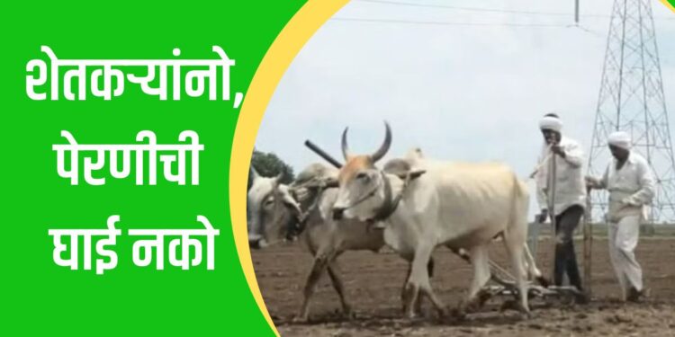 शेतकऱ्यांनो, पेरणीची घाई नको; आता पाऊस पडला तरी जुलैपर्यंत धीर धरा!