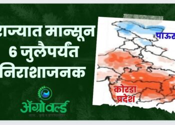 Monsoon Update : महाराष्ट्रासह मध्य, पश्चिम भारतात मान्सूनची आगामी महिनाभराची स्थिती “निराशाजनक” – स्कायमेट