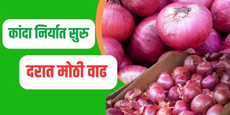 कांदा