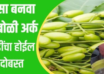 निंबोळी अर्क