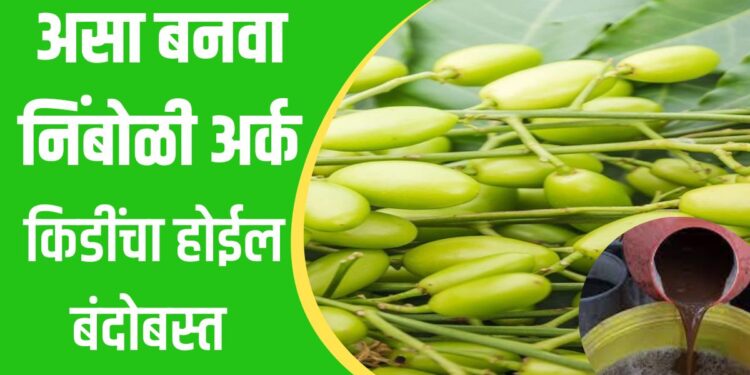 निंबोळी अर्क