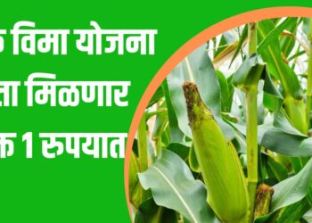 पीक विमा