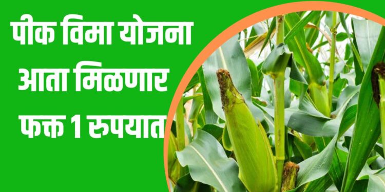 पीक विमा