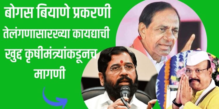 बोगस बियाणे