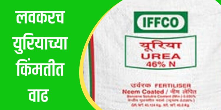 Urea Subsidy