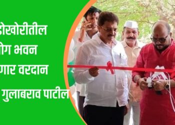 लांडोखोरी