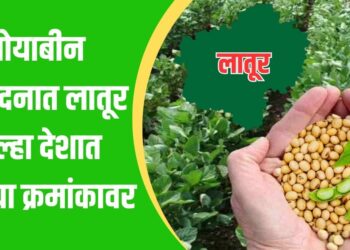 सोयाबीन