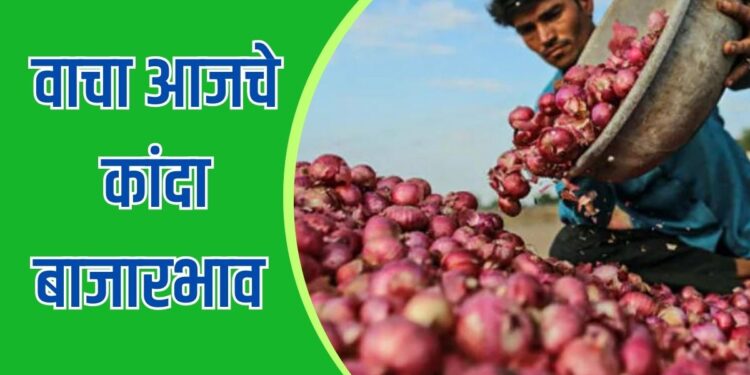 Onion Rate Today