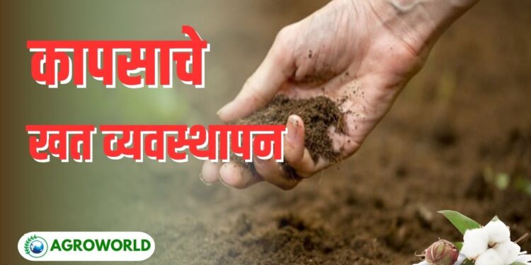 कापसाचे खत व्यवस्थापन