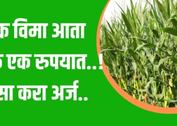 पीक विमा