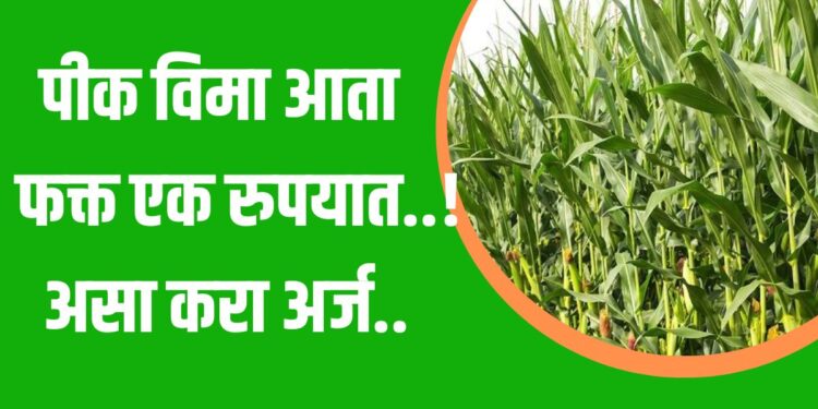 पीक विमा