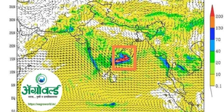 येत्या 4-5 दिवसात कोकण, विदर्भात मुसळधार सुरूच राहणार