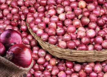 कांद्याला 'या' बाजार समितीत मिळतोय असा दर