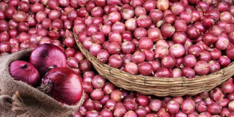 कांद्याला 'या' बाजार समितीत मिळतोय असा दर