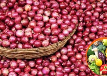 कांद्याला सध्या असा मिळतोय दर