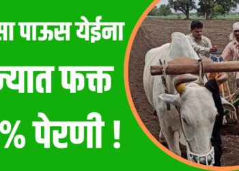 पुरेसा पाऊस