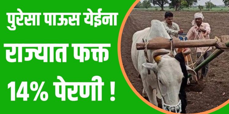 पुरेसा पाऊस