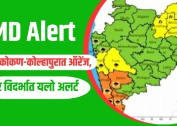 IMD Alert
