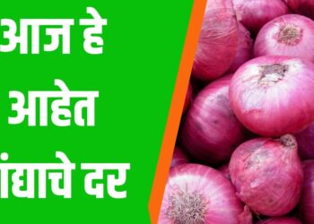 कांद्याचे दर