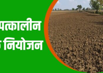 पीक नियोजन