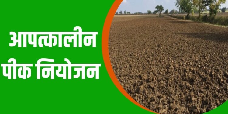 पीक नियोजन