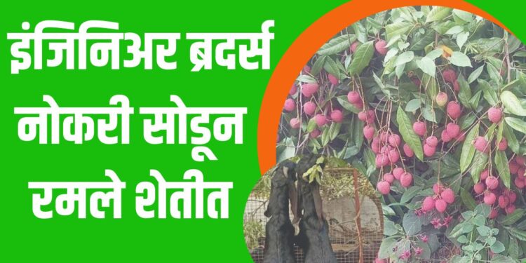 नोकरी