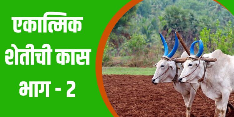 एकात्मिक शेती