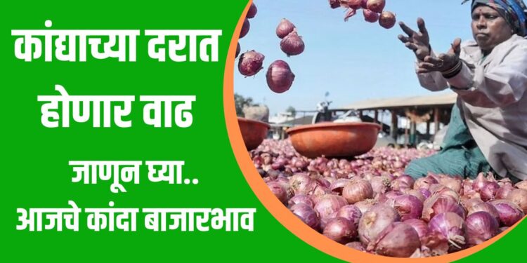 कांद्याच्या